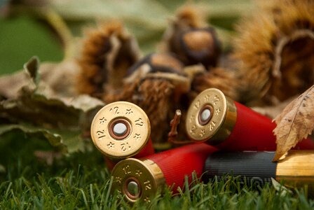 Cartridges weapon rifle ammunition