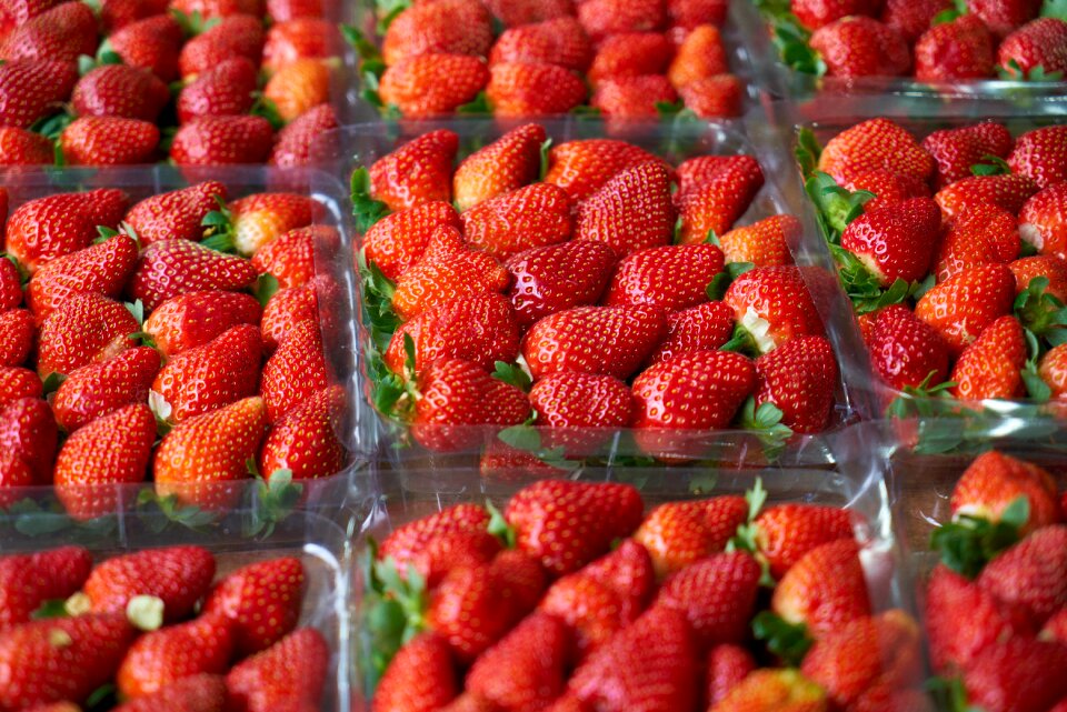 Healthy fresh nature