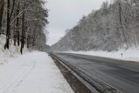 Königstraße Düppeler Forst with snow 2021-01-30 02