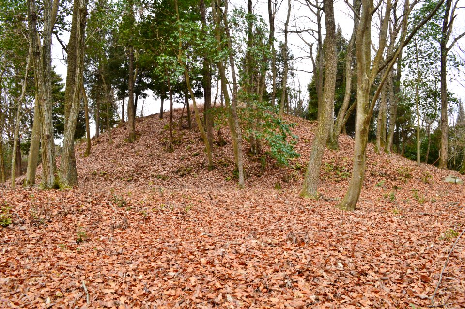 Kabutoyama Kofun (Mihara), funkyu