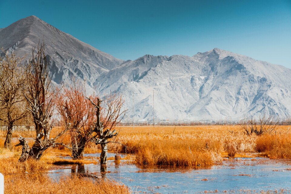 Tibet lalu wetland nyainqentanglha