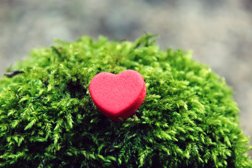 Valentine's day heart sweet