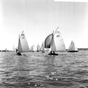 Kaagweek 1963 . De Regenbogen gaan voor de wind, Bestanddeelnr 915-3699