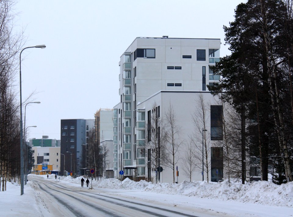 Kaarnatie Alppila Oulu 20110227