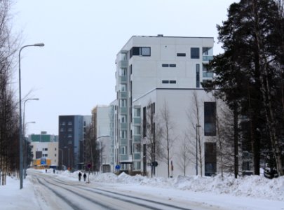 Kaarnatie Alppila Oulu 20110227