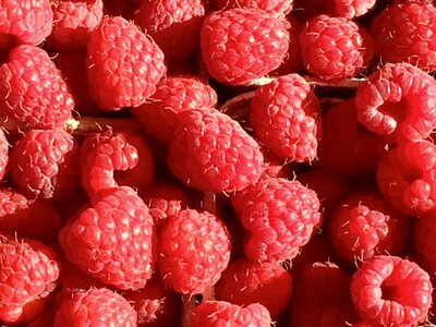 Red sweet close up