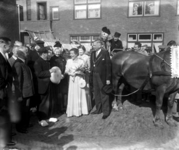 Kaaskoningin Bodegraven lachend, Bestanddeelnr 905-2999