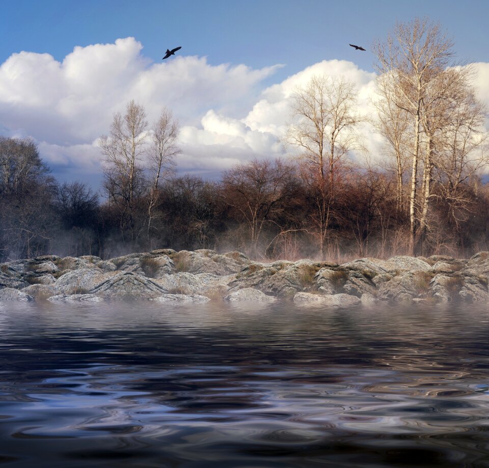 Forest river water