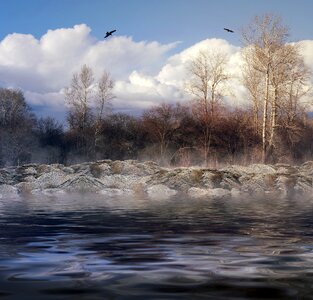 Forest river water