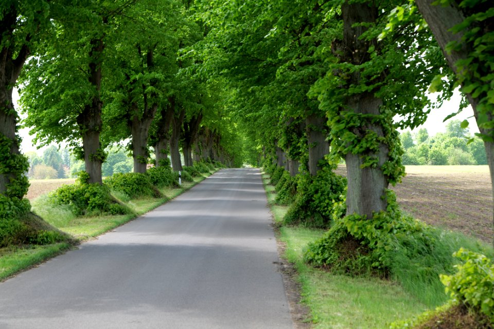 K7329 Avenue in Annenwalde 2021-05-29 28
