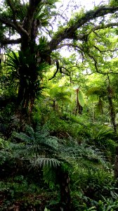 Kadoorie Farm and Botanic Garden - Hong Kong - 0503181338b