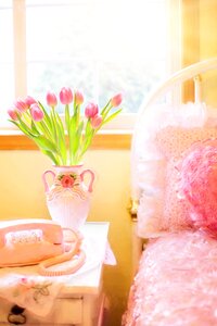 Morning pink phone spring