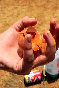 Yellow yolk healthy food waste