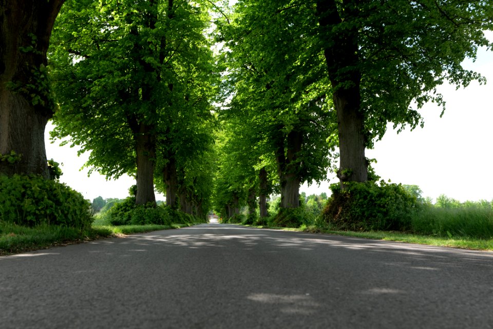 K7329 Avenue in Annenwalde 2021-05-29 23