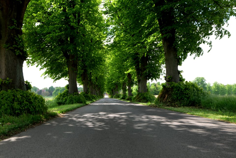 K7329 Avenue in Annenwalde 2021-05-29 25