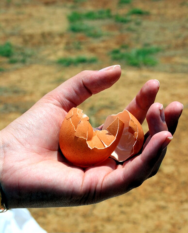 Broken wasted food