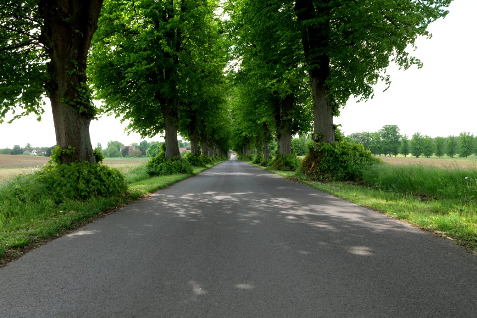 K7329 Avenue in Annenwalde 2021-05-29 07