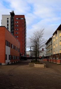 Kaakkurinraitti Oulu 20171022