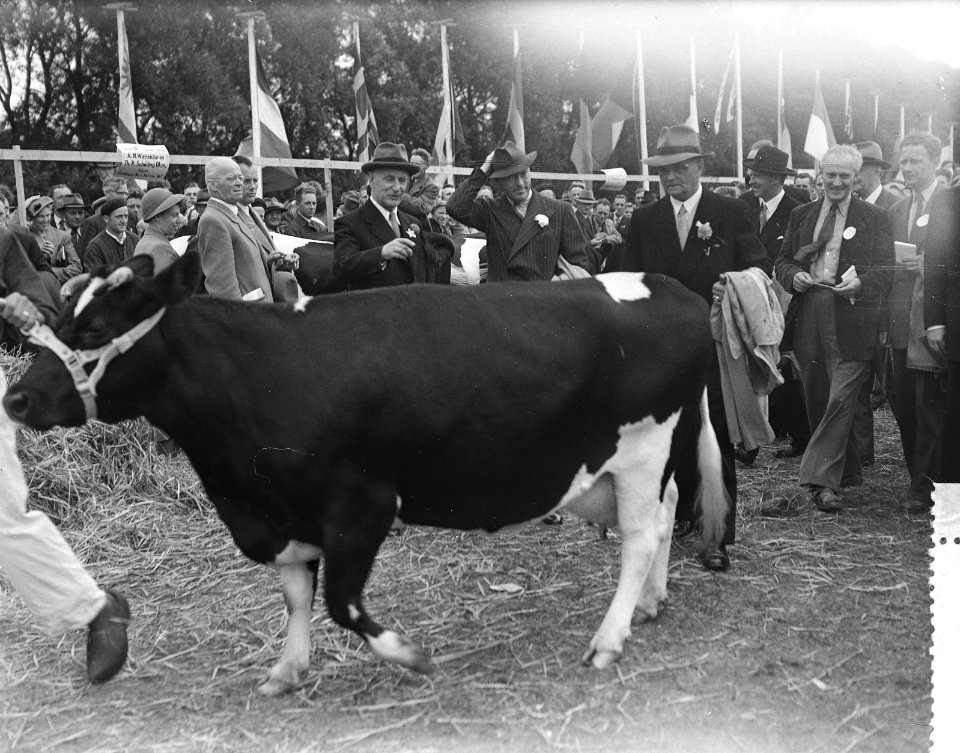 Jubileum 75 jaar keuring Fries Rundvee Stamboek , Leeuwarden, Prins Bernhard aan, Bestanddeelnr 906-7113