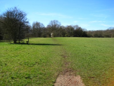 Jubilee Country Park grassland photo