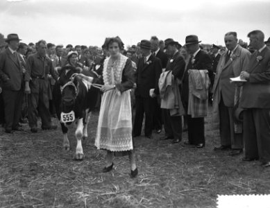Jubileum 75 jaar keuring Fries Rundvee Stamboek, Leeuwarden, Bestanddeelnr 906-7110
