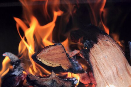 Campfire wood burning fireplace
