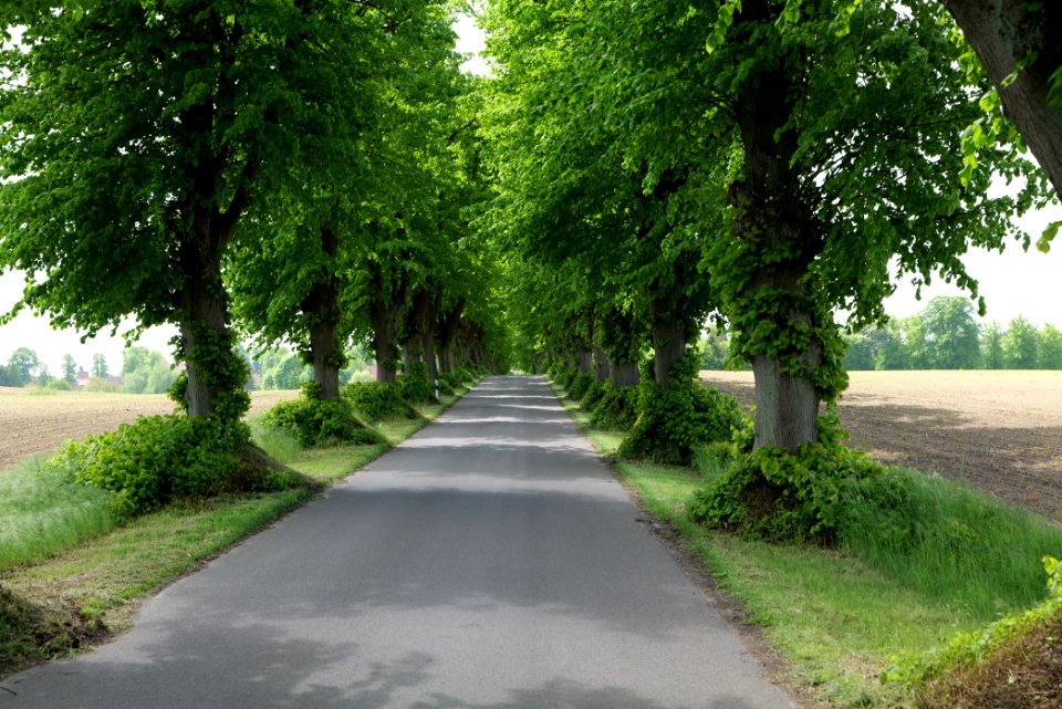 K7329 Avenue in Annenwalde 2021-05-29 32