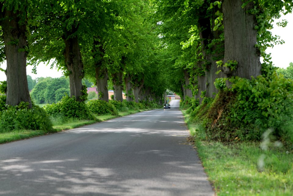 K7329 Avenue in Annenwalde 2021-05-29 11