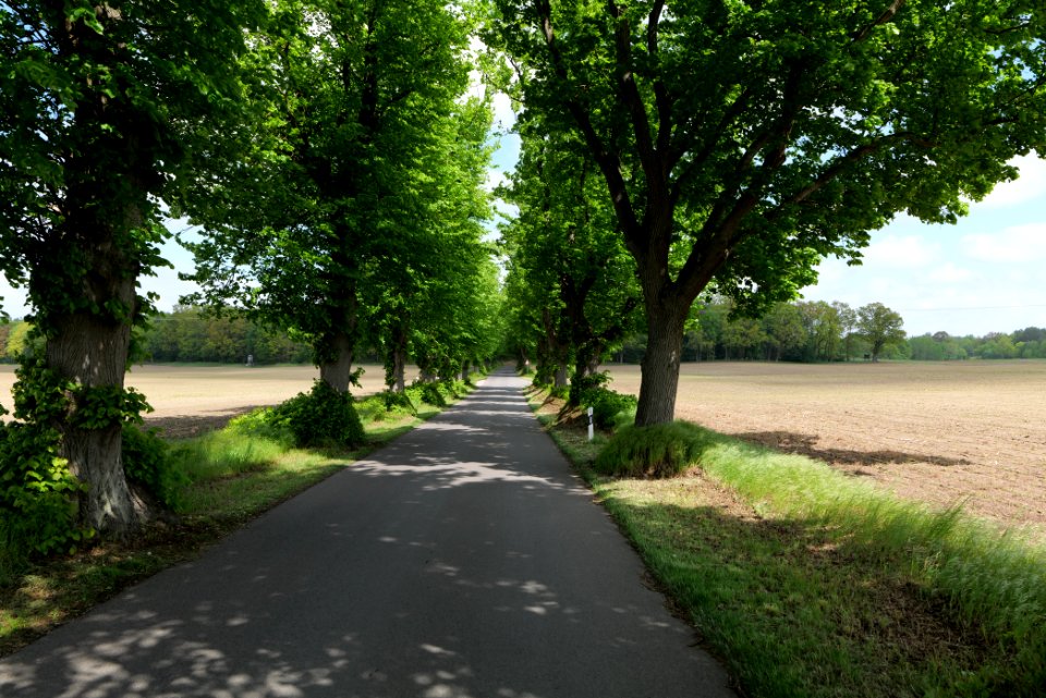 K7329 Avenue in Annenwalde 2021-05-29 26