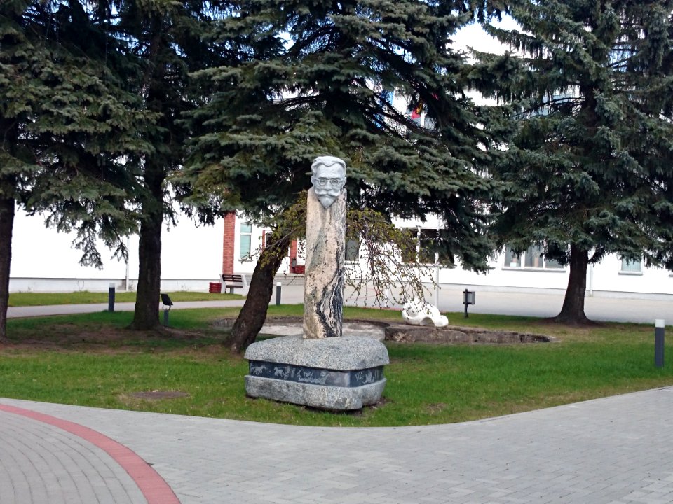JRalio gimnazija kiemas