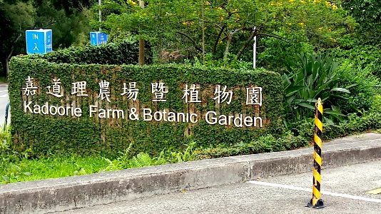 Kadoorie Farm and Botanic Garden - Hong Kong - 0503181326