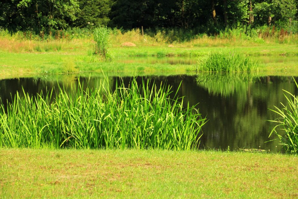 Nature reserve pools nature