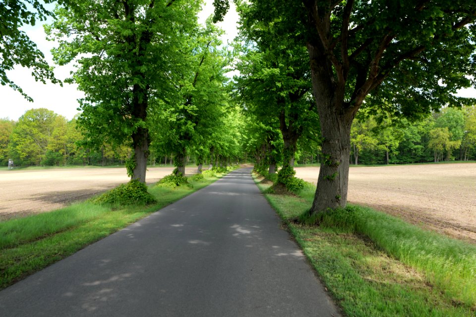 K7329 Avenue in Annenwalde 2021-05-29 33