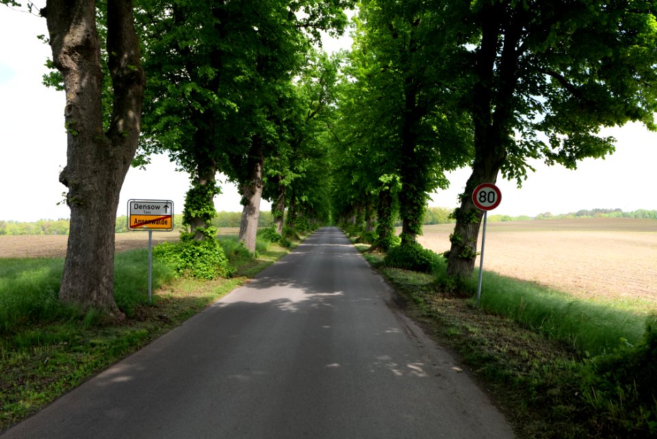 K7329 Avenue in Annenwalde 2021-05-29 02