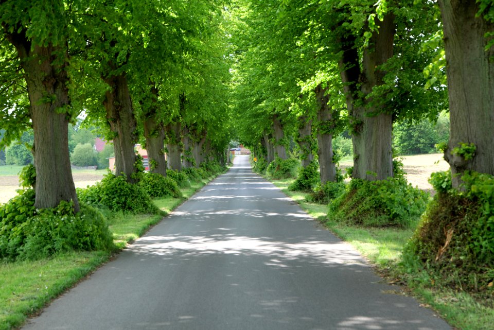 K7329 Avenue in Annenwalde 2021-05-29 18