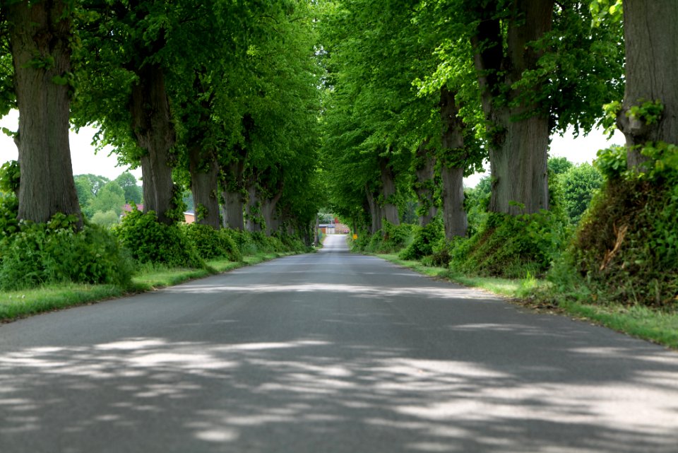 K7329 Avenue in Annenwalde 2021-05-29 14