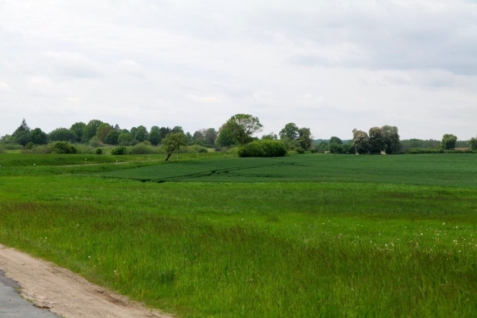 K7332 in Hardenbeck 2021-05-29 08