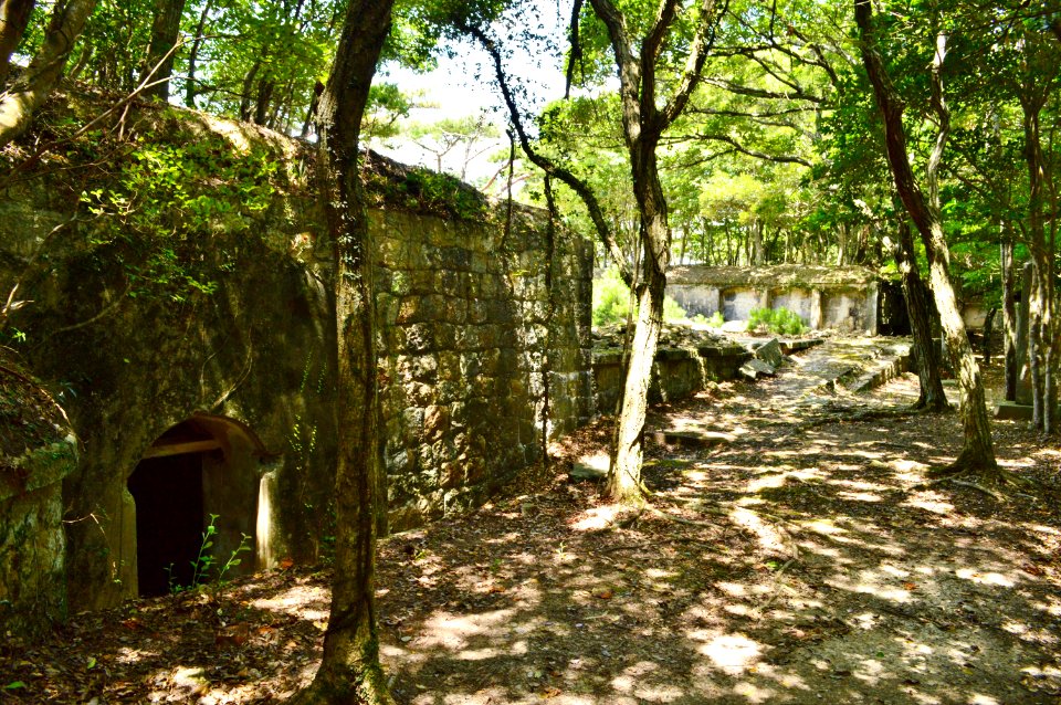 Joyama Houdai (Tsushima)-1