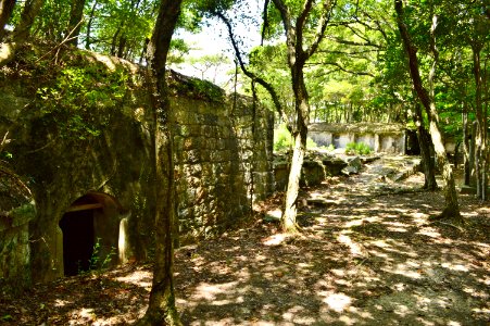 Joyama Houdai (Tsushima)-1