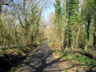 Jubilee Country Park path photo