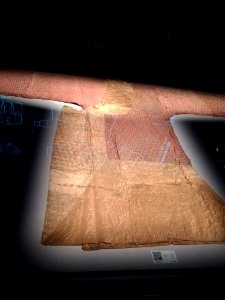 Juan Silk Skirt, Hunan Museum, picture1