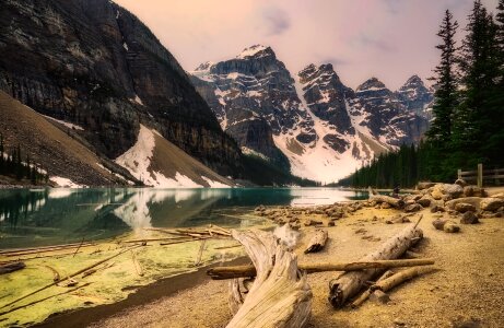 Snow deadwood shoreline photo