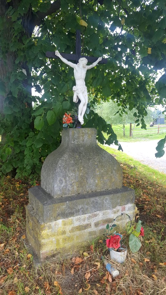 José-Tilleul du Coftice (1)