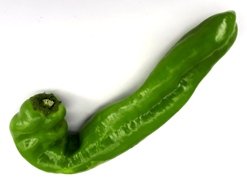 J-shaped capsicum 2017 A2