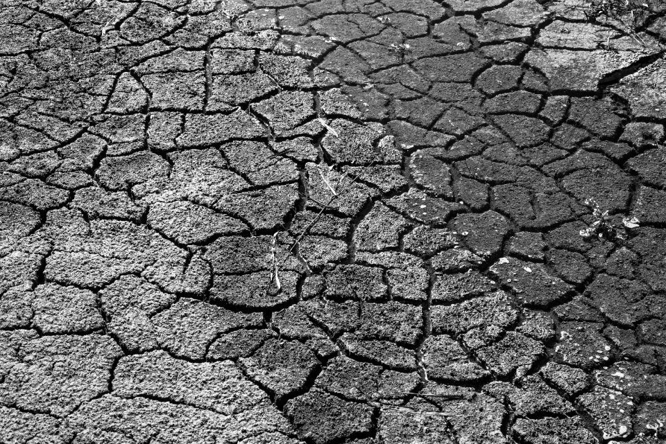 Africa famine hunger