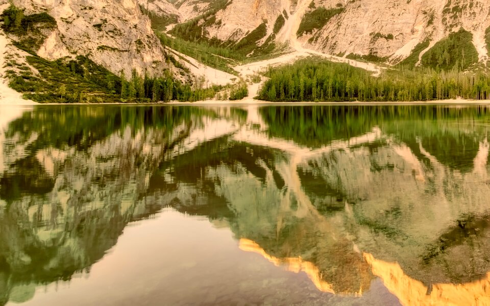 Woods forest reflection