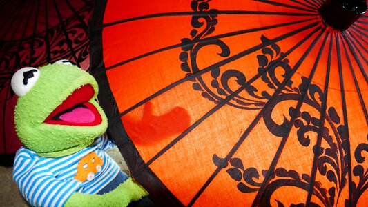 Decorated arts crafts kermit