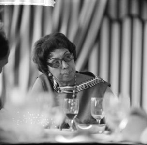Josephine Baker in Kasteel Les Milandes Portret J B, Bestanddeelnr 912-6500