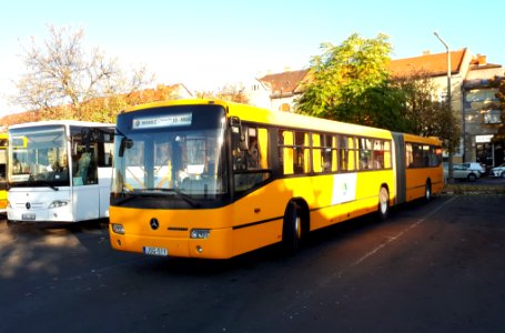 JSG-516 Mercedes Conecto in Miskolc