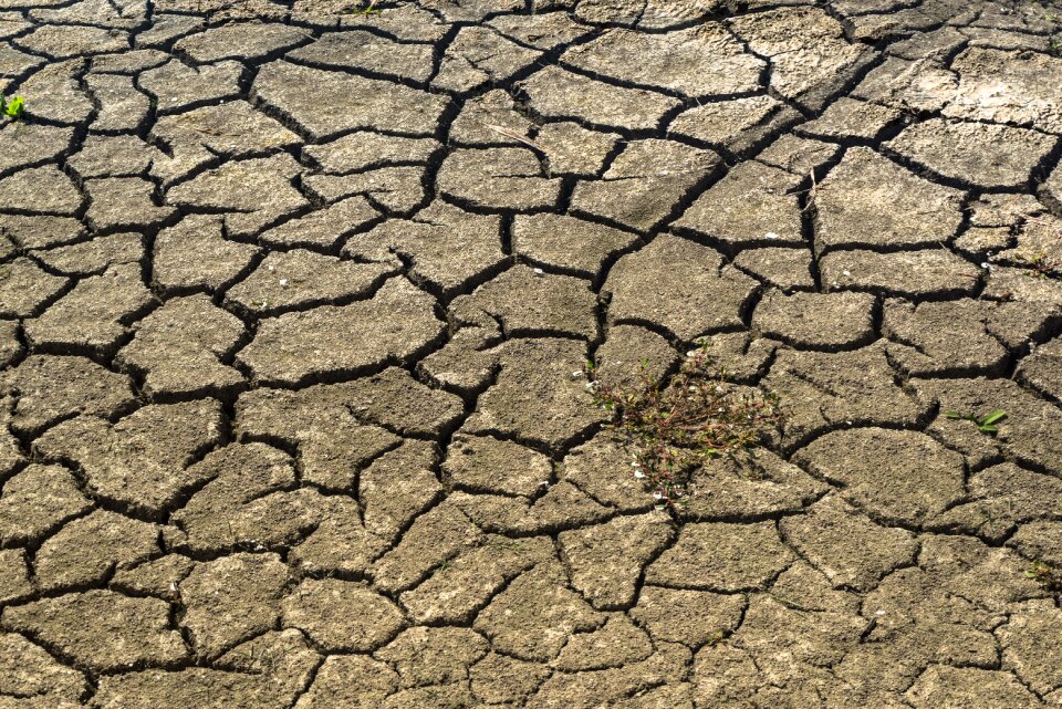 Africa famine hunger